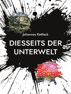 cover image of Diesseits der Unterwelt